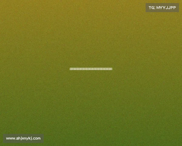 尤文图斯最新赛事战报意甲联赛连胜势头强劲欧冠征程蓄势待发